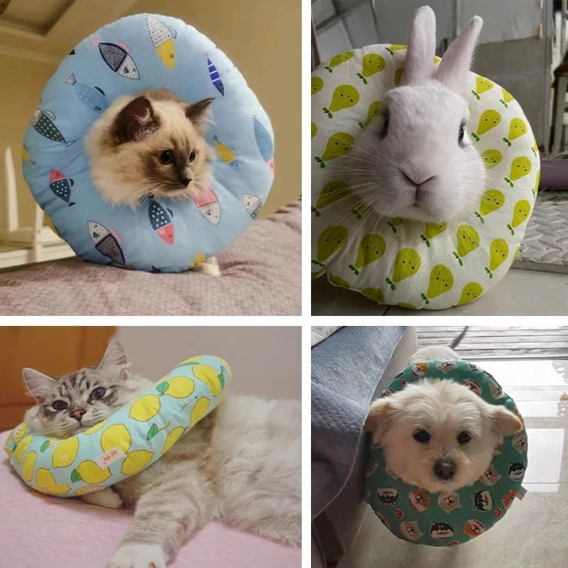 Adjustable Soft Recovery Collar For Cats Small Dogs After Surgery 5