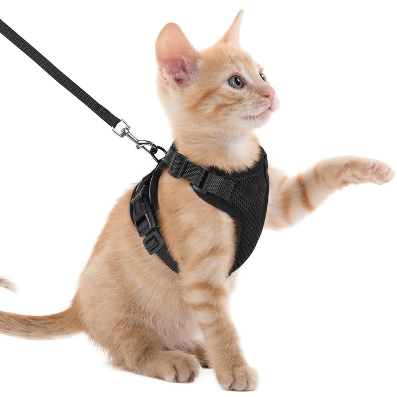 Reflective EscapeProof Cat Harness And Leash Set With Breathable Mesh Vest 9