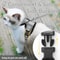 Reflective EscapeProof Cat Harness And Leash Set With Breathable Mesh Vest 5
