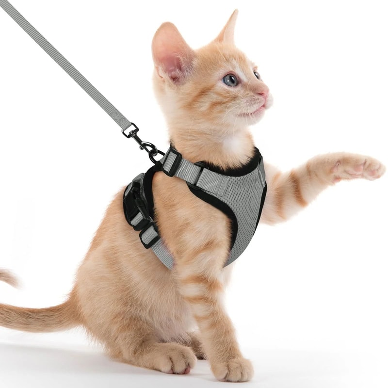 Reflective EscapeProof Cat Harness And Leash Set With Breathable Mesh Vest 7