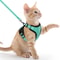 Reflective EscapeProof Cat Harness And Leash Set With Breathable Mesh Vest 8