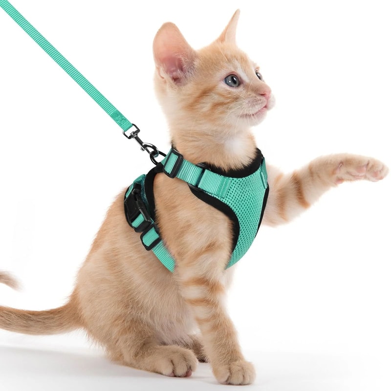Reflective EscapeProof Cat Harness And Leash Set With Breathable Mesh Vest 8
