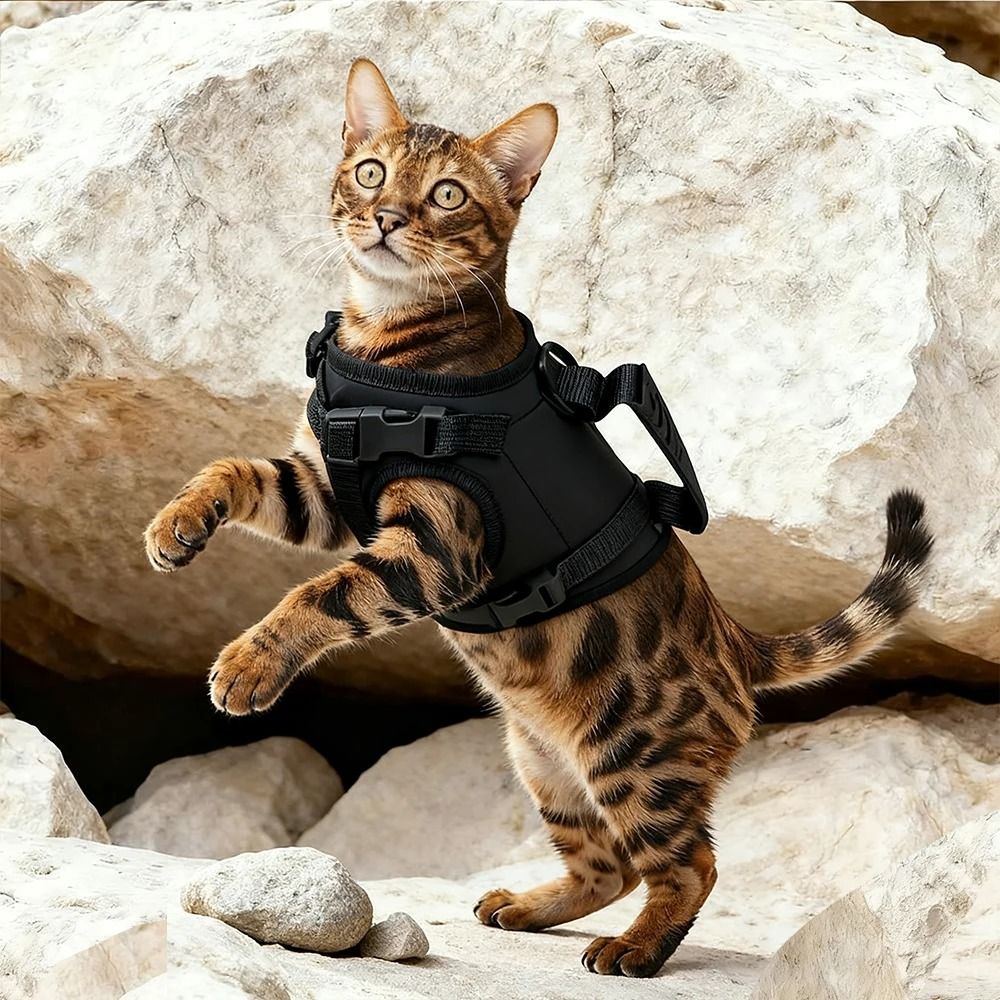 Escape Proof Tactical Cat Harness Vest For Outdoor Walking Training 4