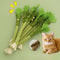 Natural Catnip Molar Stick Chew Toy With Bell For Teeth Cleaning Interactive Play 0
