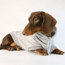 cute sausage dog hoodie for small dogs warm dachshund pullover sweater
