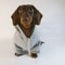 Cute Sausage Dog Hoodie For Small Dogs Warm Dachshund Pullover Sweater 4