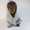 Cute Sausage Dog Hoodie For Small Dogs Warm Dachshund Pullover Sweater 6