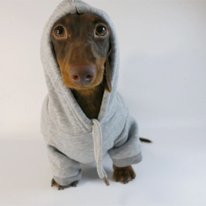 Cute Sausage Dog Hoodie For Small Dogs Warm Dachshund Pullover Sweater 6