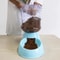 38L Automatic Pet Water Fountain And Food Dispenser For Cats And Dogs 2