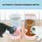 38L Automatic Pet Water Fountain And Food Dispenser For Cats And Dogs 4