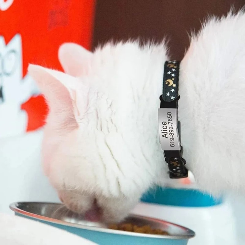 Personalized Reflective Star Moon Cat Collar With Engraved ID Nameplate And Bell 1