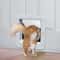 Smart Microchip Pet Door With Direction Control Automatic Sensor Access 2