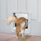 Smart Microchip Pet Door With Direction Control Automatic Sensor Access 2