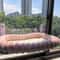 Foldable Window Cat Hammock With Suction Cups For Sunbathing And Lounging 7