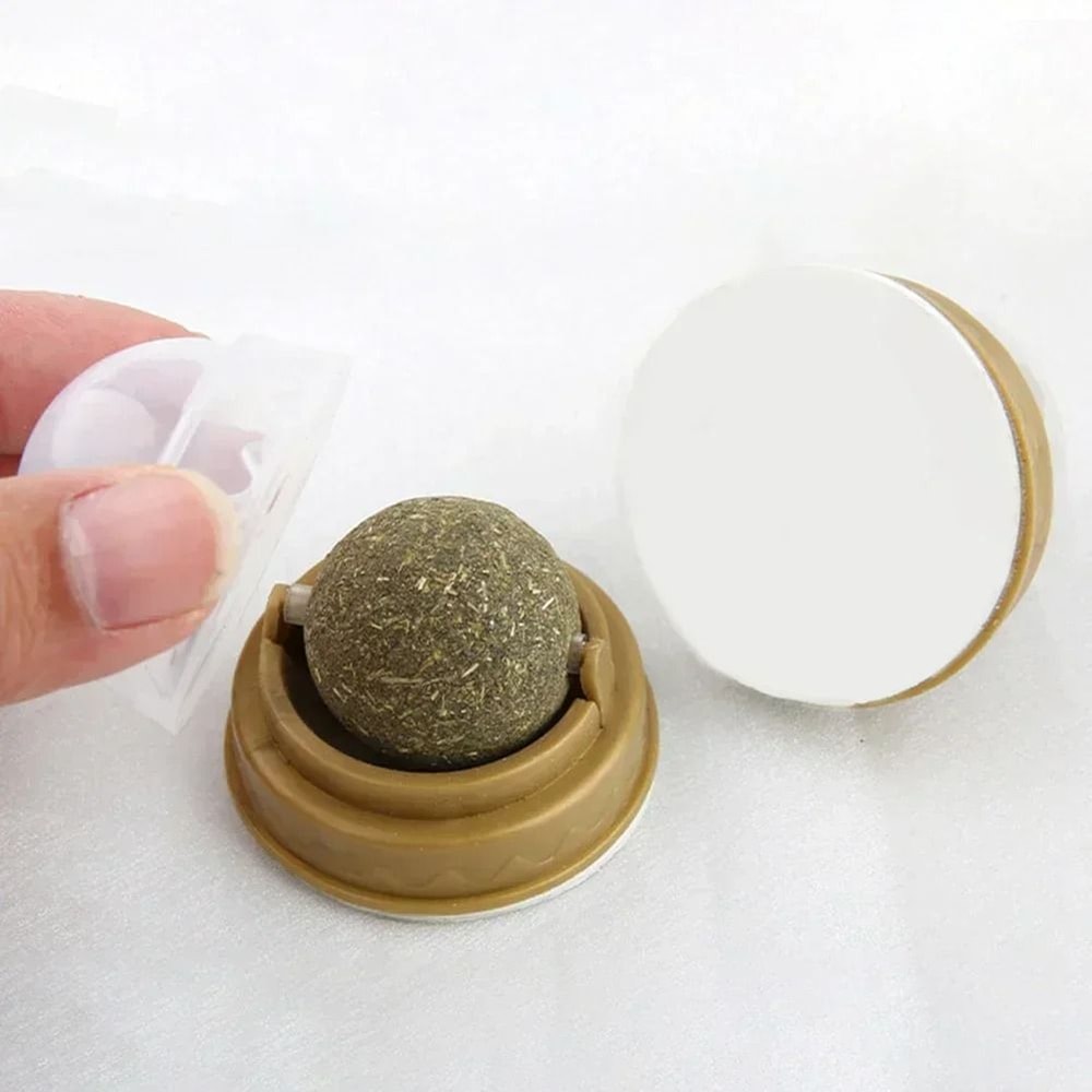Natural Edible Catnip Ball Toys For Teeth Cleaning Play Enrichment 4