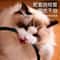 ThermoComfort Smart Pet Heating Pad For Cats Dogs 3