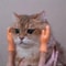TinyPaws Mini Hand Cat Massage Interactive Toy Set 3