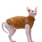 Breathable Cotton Summer Vest For Sphynx Cats And Small Pets 0