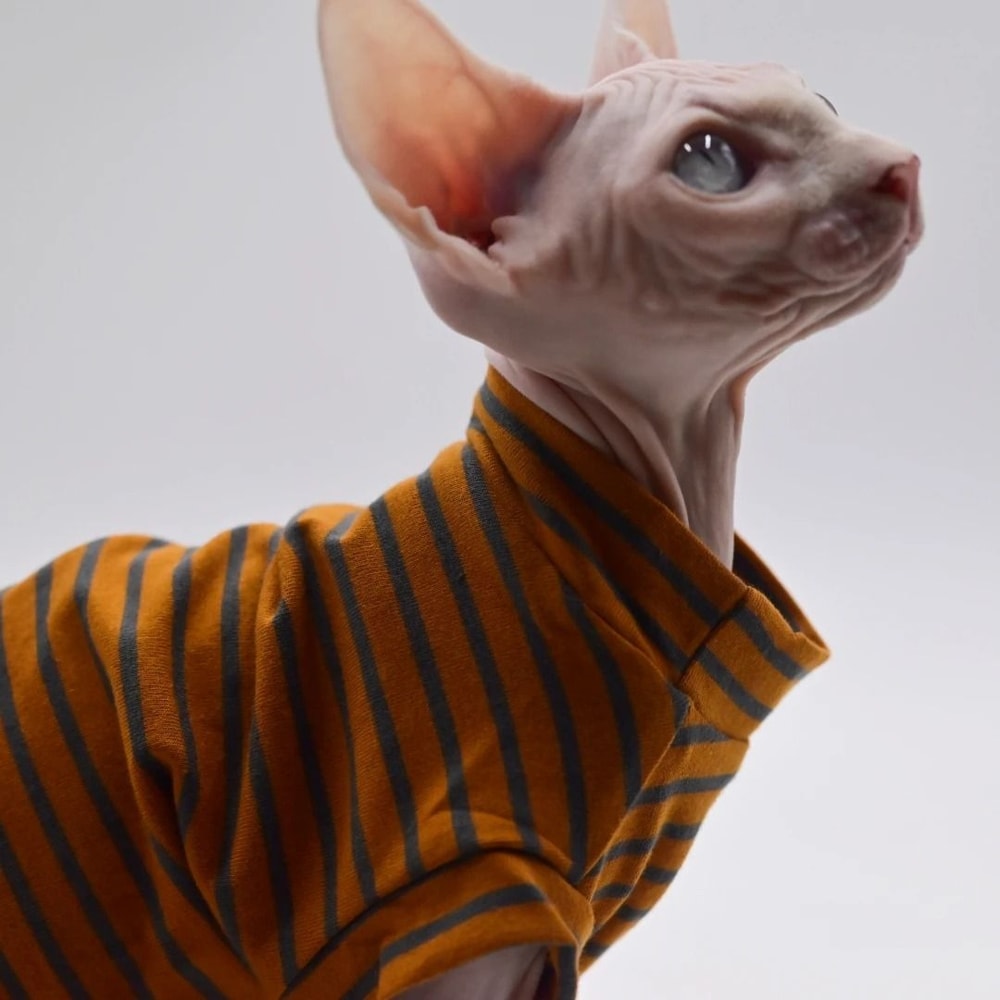 Breathable Cotton Summer Vest For Sphynx Cats And Small Pets 3