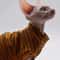 Breathable Cotton Summer Vest For Sphynx Cats And Small Pets 3