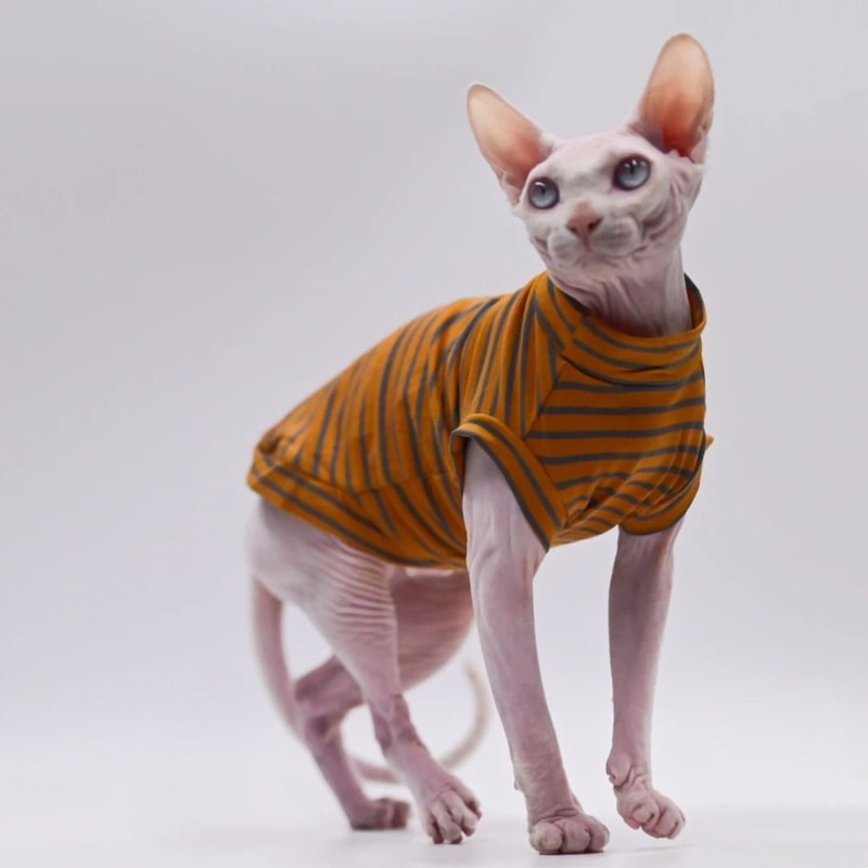 Breathable Cotton Summer Vest For Sphynx Cats And Small Pets 4