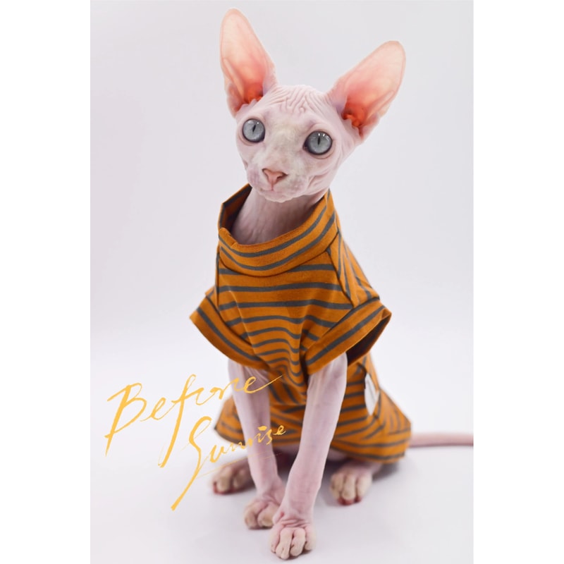 Breathable Cotton Summer Vest For Sphynx Cats And Small Pets 5