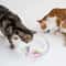 LED Interactive Swimming Robot Fish Toy For Cats And Kittens 4