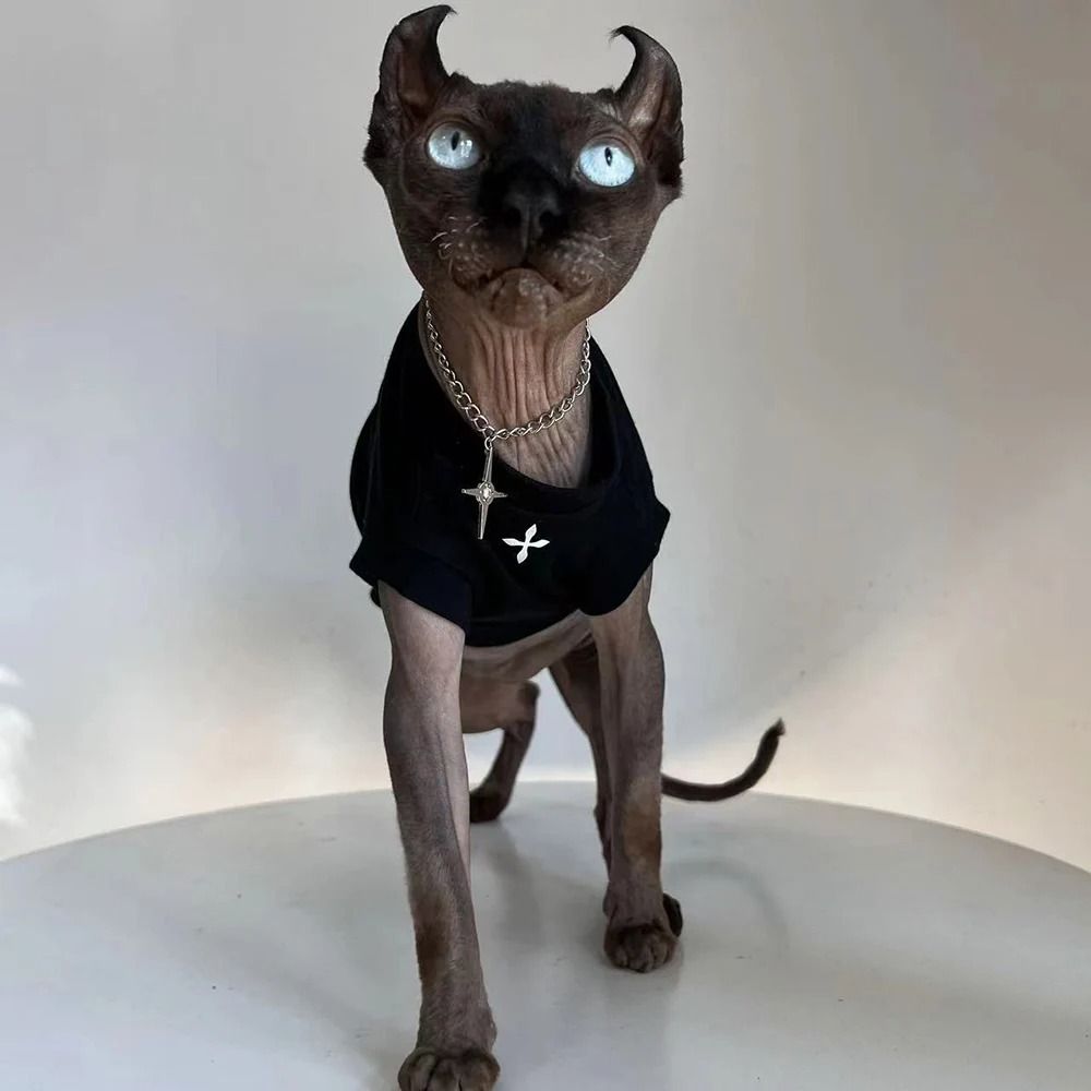 Winter Cotton TShirt For Sphynx Cats And Hairless Breeds 3