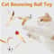 FeatherBounce Interactive Cat Ball Toy Set With Feathers For Indoor Play 0