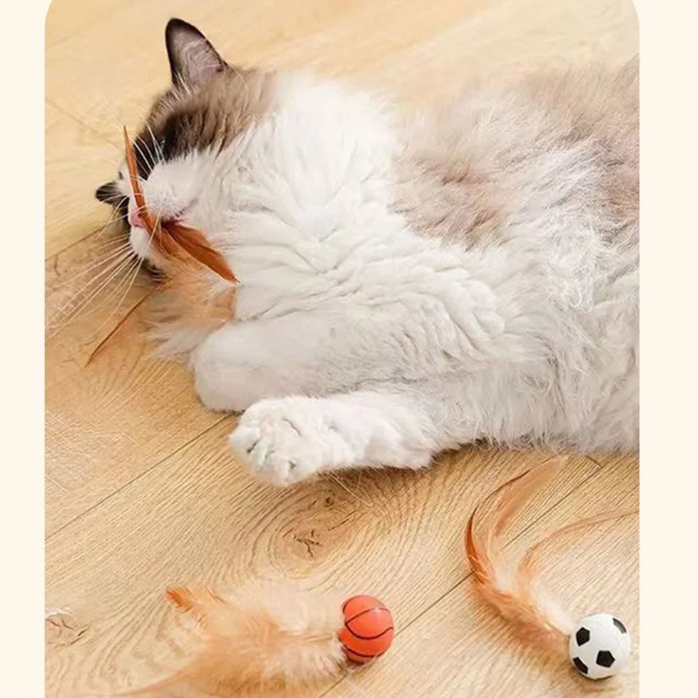 FeatherBounce Interactive Cat Ball Toy Set With Feathers For Indoor Play 3