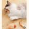 FeatherBounce Interactive Cat Ball Toy Set With Feathers For Indoor Play 3