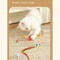 FeatherBounce Interactive Cat Ball Toy Set With Feathers For Indoor Play 4