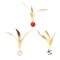 FeatherBounce Interactive Cat Ball Toy Set With Feathers For Indoor Play 6