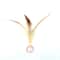 FeatherBounce Interactive Cat Ball Toy Set With Feathers For Indoor Play 7