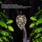 Solar Garden Projection Light Waterproof Decorative Outdoor Drop Lamp For Fence Patio Landscape 3