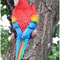 Whimsical Resin Parrot Wall Sculpture Garden Home TreeMounted Decoration 1