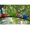 Whimsical Resin Parrot Wall Sculpture Garden Home TreeMounted Decoration 10