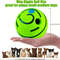GlowintheDark Giggle Ball For Dogs  Interactive Sound Toy For Active Play  Attention 0