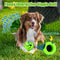 GlowintheDark Giggle Ball For Dogs Interactive Sound Toy For Active Play Attention 2
