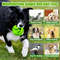 GlowintheDark Giggle Ball For Dogs  Interactive Sound Toy For Active Play  Attention 3