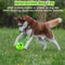 GlowintheDark Giggle Ball For Dogs Interactive Sound Toy For Active Play Attention 4