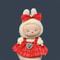Labubu Cute DIY Doll Clothing Set 17