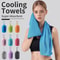 Portable Cooling Towel Quick Drying Silicone Wrapped Polyester Fiber Sport Towel 0