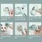 Pet Steam Massage Brush With Hair Removal Comb For Dogs And Cats 5