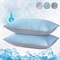 Summer Cooling Pillowcase Ice Bean Cover For Air Conditioned Rooms 48x74cm 0