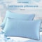 Summer Cooling Pillowcase Ice Bean Cover For Air Conditioned Rooms 48x74cm 1