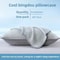 Summer Cooling Pillowcase Ice Bean Cover For Air Conditioned Rooms 48x74cm 8