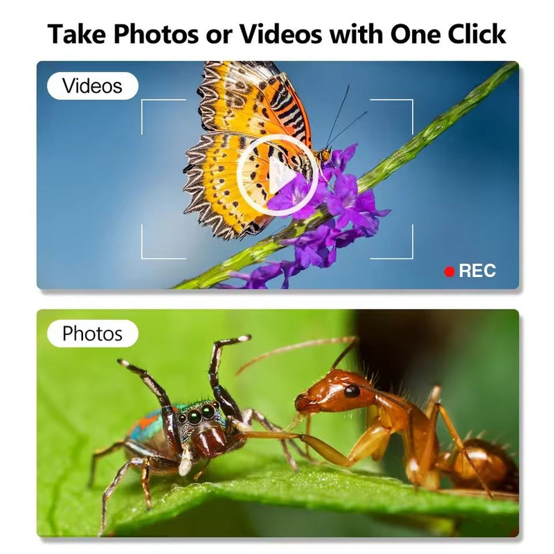 Digital Microscope Camera With LED Magnifier And USB Type C Connection 3