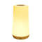 Rechargeable RGB LED Night Light Table Lamp With Remote Control And Touch Sensor For Bedside Or Hom 5