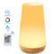 Rechargeable RGB LED Night Light Table Lamp With Remote Control And Touch Sensor For Bedside Or Hom 6